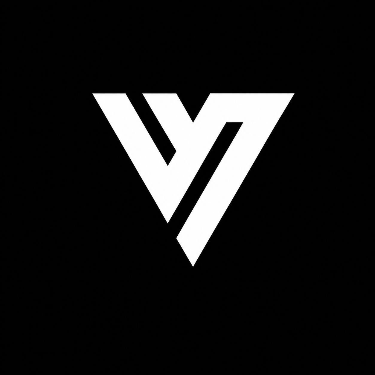 Void Visual Logo